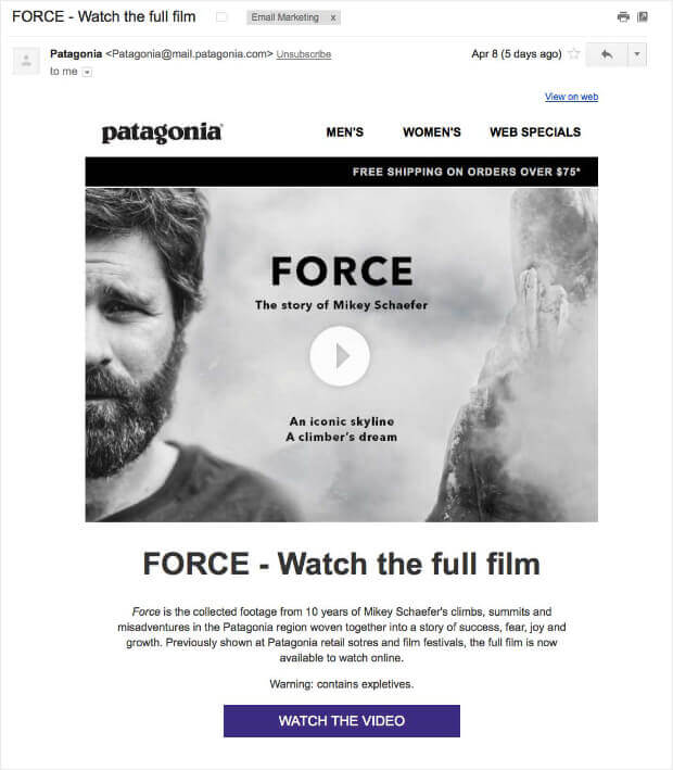 Patagonia monthly newsletter example screenshot