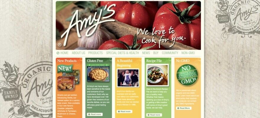 Amy's website homepage with an outdated design