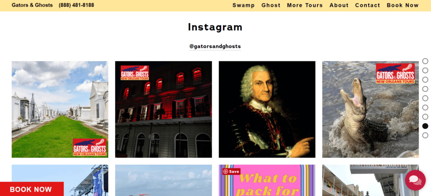 Instagram integration feature displaying Gators & Ghouls Instagram posts on the website homepage
