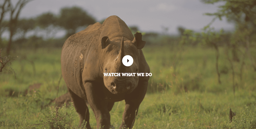 Save the Rhino nonprofit website example screenshot 1